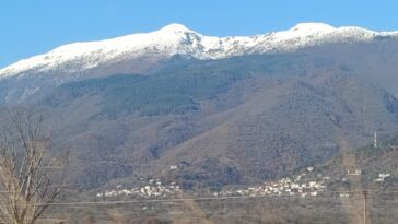 IMG 20260107 121640
