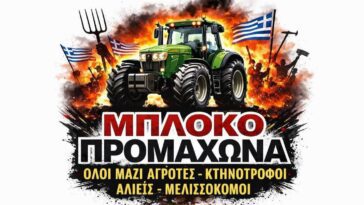 IMG 20260122 154746
