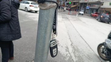 IMG 20260202 115034