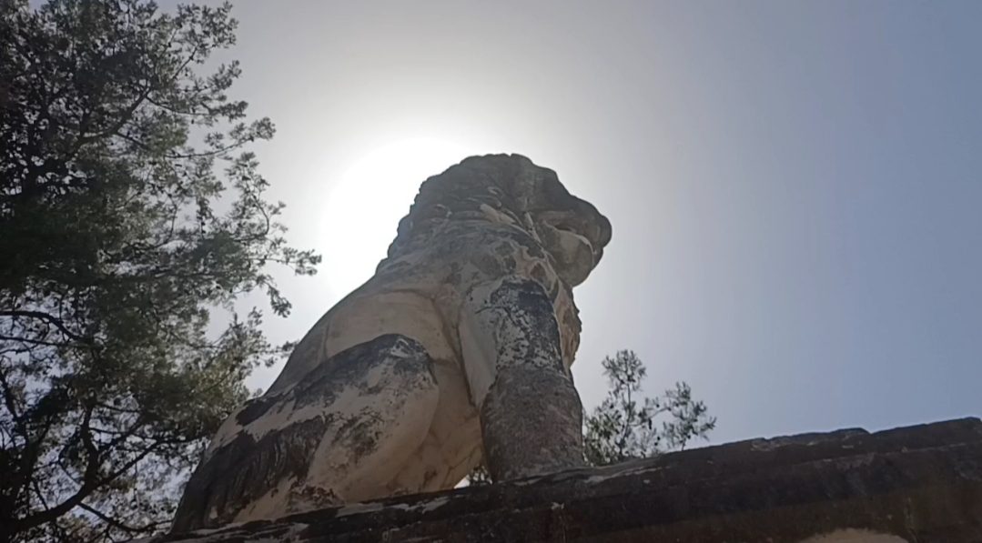 IMG 20260219 140026