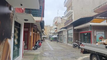 IMG 20260220 115024