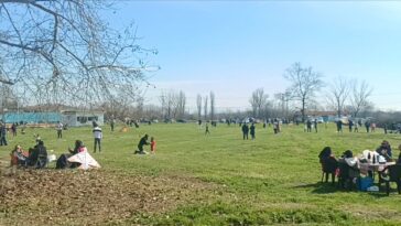 IMG 20260223 131344