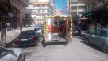 f25a66de ae94 433d b4e7 0f714dda0809 e1741163955647 (1)